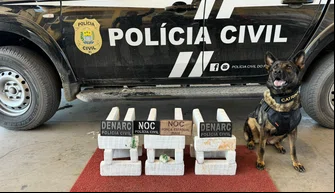 Drogas apreendidas pelo Denarc em Bom Jesus