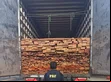 PRF apreende mais de 50 m³ de madeira transportada ilegalmente no Piauí