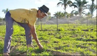 Agricultura Familiar